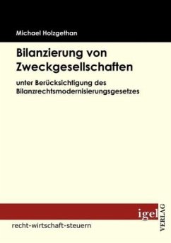 Bilanzierung von Zweckgesellschaften - Holzgethan, Michael