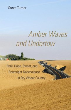 Amber Waves and Undertow - Turner, Steve
