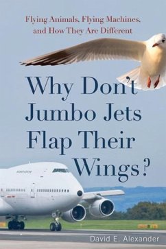 Why Don't Jumbo Jets Flap Their Wings? - Alexander, David