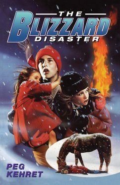 The Blizzard Disaster