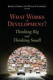 What Works in Development?