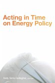 Acting in Time on Energy Policy