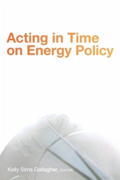 Acting in Time on Energy Policy