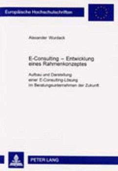 E-Consulting ¿ Entwicklung eines Rahmenkonzeptes - Wurdack, Alexander