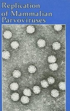 Replication of Mammalian Parvoviruses