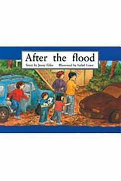 Cover After the Flood