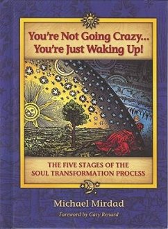 You're Not Going Crazy... You're Just Waking Up!: The Five Stages of the Soul Transformation Process - Mirdad, Michael