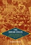 The Indian Craze: Primitivism, Modernism, and Transculturation in American Art, 1890-1915