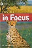 Cheetah Chase: Footprint Reading Library 6