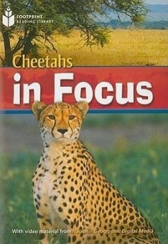 Cheetah Chase: Footprint Reading Library 6 - Waring, Rob