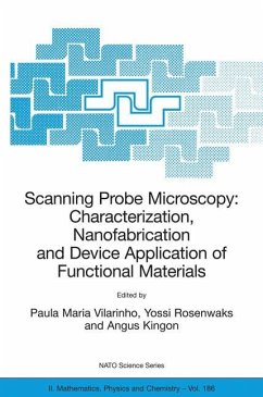 Scanning Probe Microscopy: Characterization, Nanofabrication and Device Application of Functional Materials - Vilarinho, Paula Maria / Rosenwaks, Yossi / Kingon, Angus (eds.)