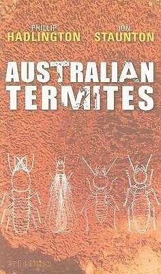 Australian Termites - Hadlington, Phillip