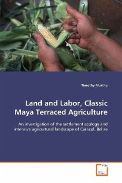 Land and Labor, Classic Maya Terraced Agriculture - Murtha, Timothy