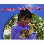 A Little Duck for Lily