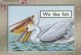 We Like Fish We Like Fish