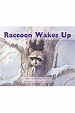 Raccoon Wakes Up Raccoon Wakes Up