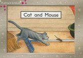 Cat and Mouse