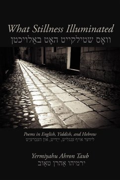 What Stillness Illuminated - Taub, Yermiyahu Ahron