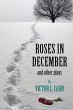Roses in December - Bild 1