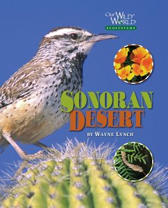 Sonoran Desert - Lynch, Wayne
