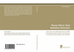 Planar Silicon Strip Radiation Detectors - Bergauer, Thomas