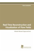 Real-Time Reconstruction and Visualization of Flow Fields