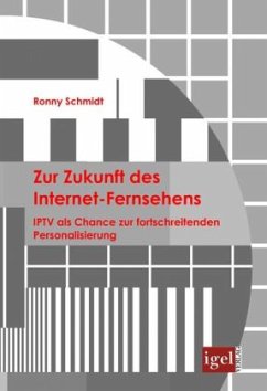 Zur Zukunft des Internet-Fernsehens - Schmidt, Ronny