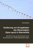 Kartierung von Brutgebieten des Mauerseglers (Apus apus)in Eberswalde