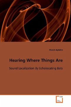 Hearing Where Things Are - Aytekin, Murat