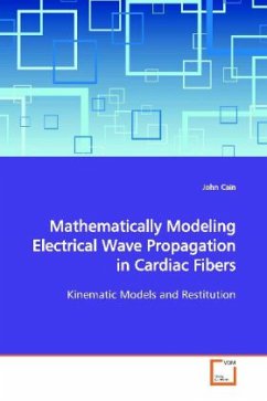 Mathematically Modeling Electrical Wave Propagation in Cardiac Fibers - Cain, John