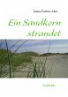 Ein Sandkorn strandet - Bild 1
