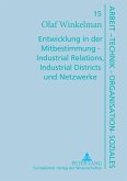 Entwicklung in der Mitbestimmung ¿ Industrial Relations, Industrial Districts und Netzwerke