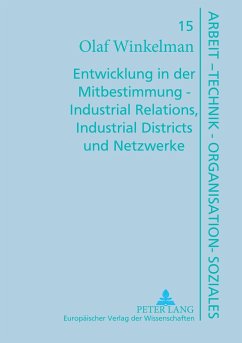 Entwicklung in der Mitbestimmung ¿ Industrial Relations, Industrial Districts und Netzwerke - Winkelmann, Olaf