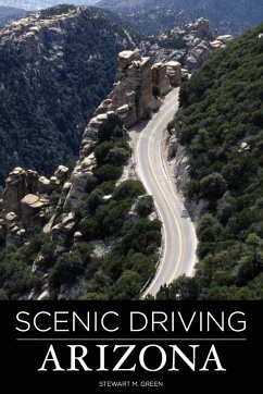 Scenic Driving Arizona - Green, Stewart M
