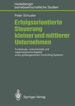 Erfolgsorientierte Steuerung kleiner und mittlerer Unternehmen - Schuster, Peter