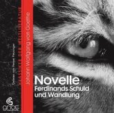Johann Wolfgang von Goethe - Die Novelle Ferdinands Schuld und Wandlung Johann Wolfgang von Goethe - Die Novelle Ferdinands Schuld und Wandlung