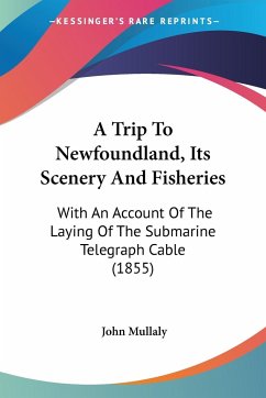 A Trip To Newfoundland, Its Scenery And Fisheries - Mullaly, John