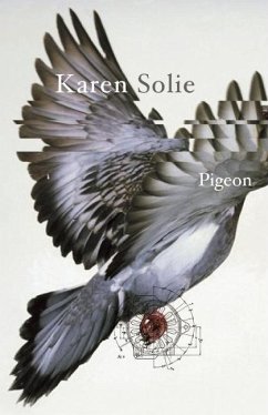 Pigeon - Solie, Karen