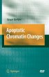 Apoptotic Chromatin Changes - Bild 1