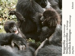 Berggorillas - Moutain Gorillas - Gorilles de Montagne - Hess, Jörg