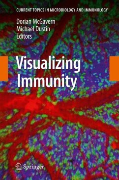 Visualizing Immunity - McGavern, Dorian / Dustin, Michael (Volume editor)