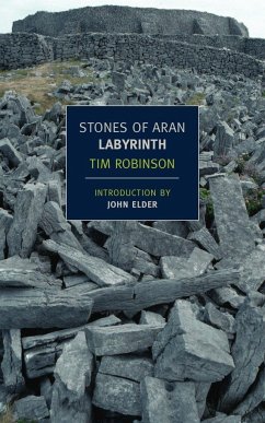 Stones of Aran: Labyrinth - Robinson, Tim