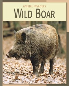 Wild Boar - Somervill, Barbara A