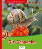 Die Schnecke / Meine große Tierbibliothek