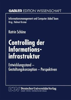 Controlling der Informationsinfrastruktur - Schöne, Katrin