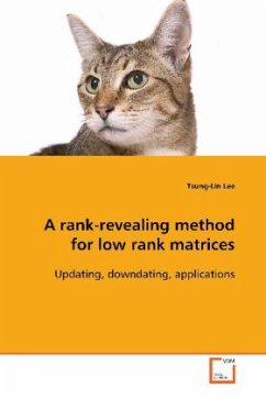 A rank-revealing method for low rank matrices - Lee, Tsung-Lin