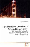 Businessplan Salomon