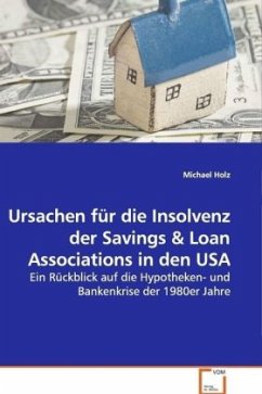 Ursachen für die Insolvenz der Savings - Holz, Michael