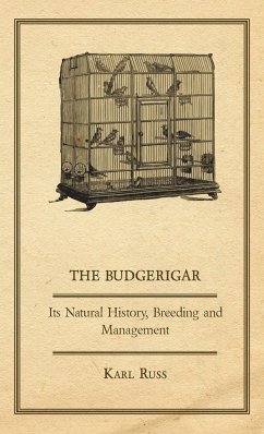 The Budgerigar - Its Natural History, Breeding and Management - Russ, Karl