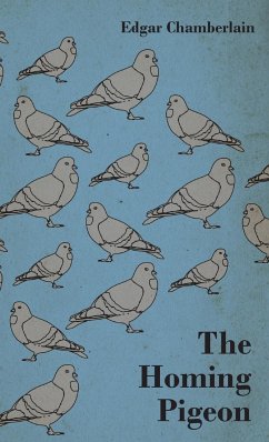 The Homing Pigeon - Chamberlain, Edgar